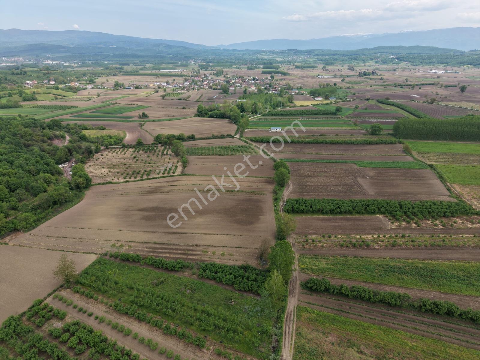 Hendek Paşaköyde 1783m2 Satılık Tarla - Görsel 17
