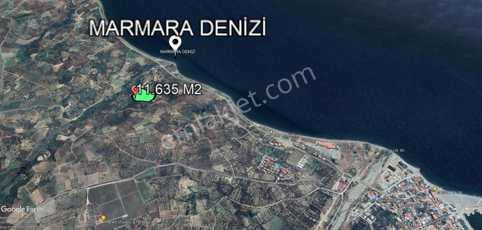 Şarköy Hoşköy'de Denizin Dibinde 11.635 M2 Satılık Arazi - Görsel 9