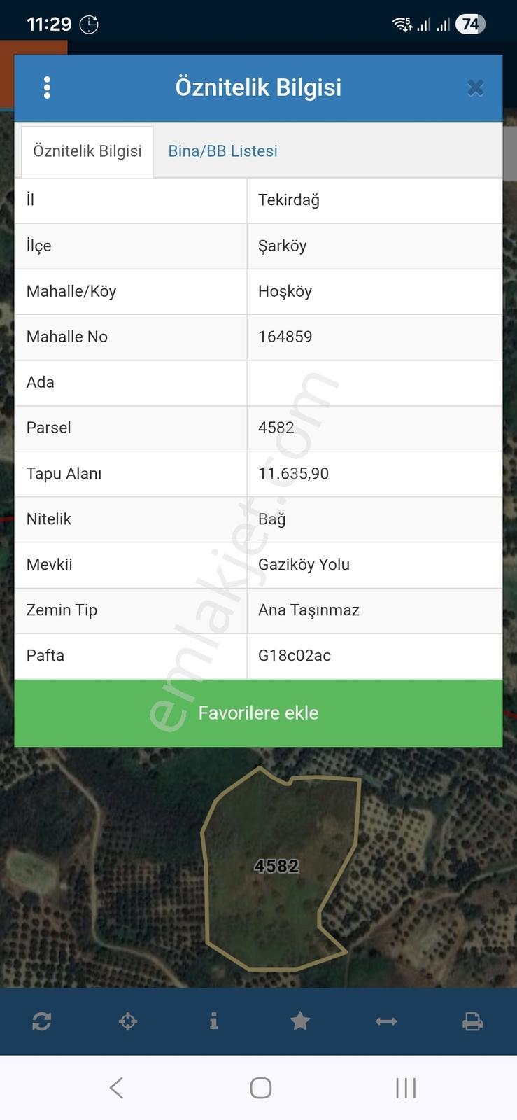 Şarköy Hoşköy'de Denizin Dibinde 11.635 M2 Satılık Arazi - Görsel 19