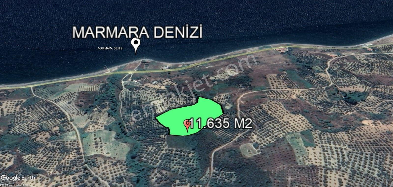 Şarköy Hoşköy'de Denizin Dibinde 11.635 M2 Satılık Arazi - Görsel 17