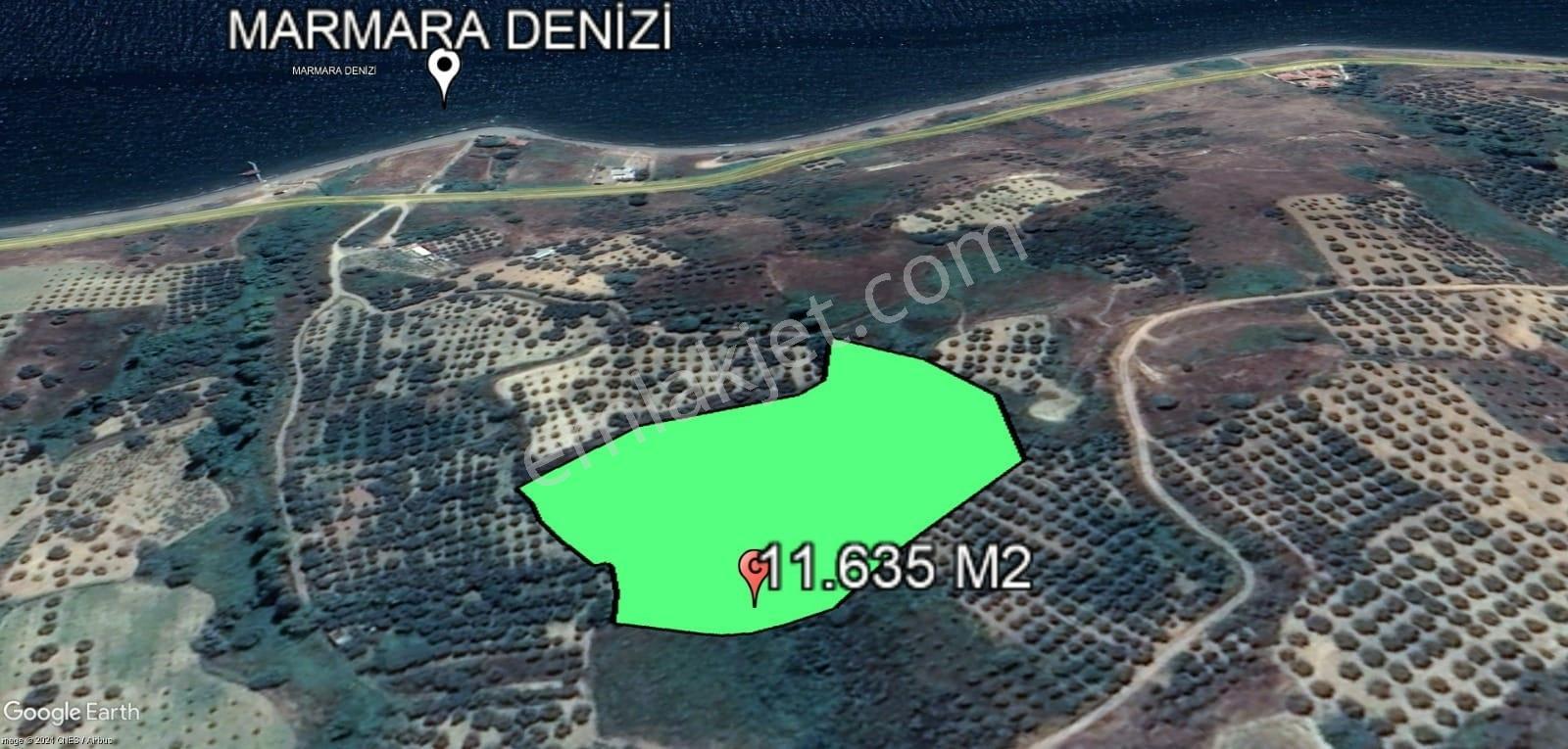 Şarköy Hoşköy'de Denizin Dibinde 11.635 M2 Satılık Arazi - Görsel 18