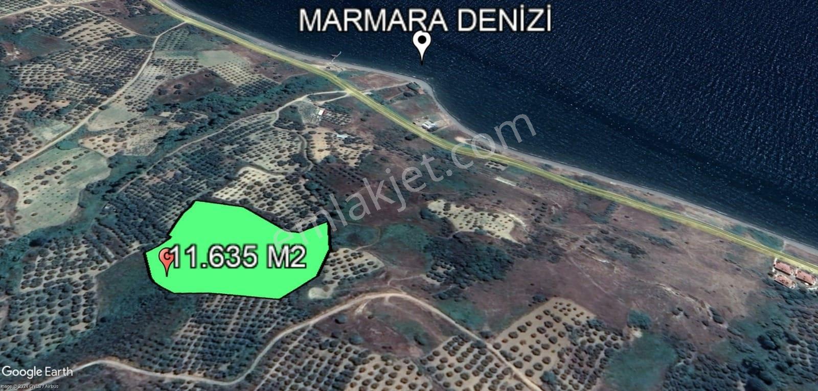Şarköy Hoşköy'de Denizin Dibinde 11.635 M2 Satılık Arazi - Görsel 8