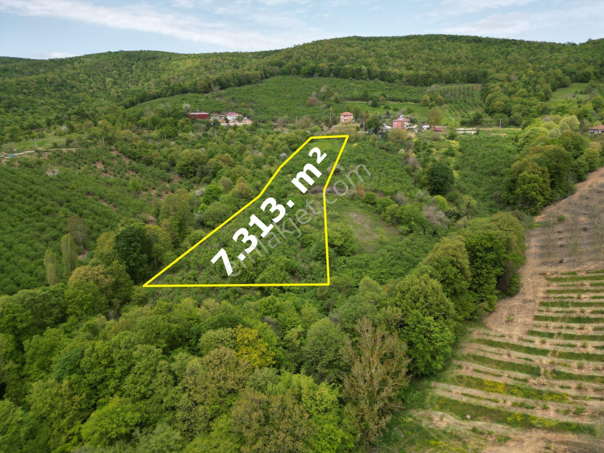 Söğütlü 2.osb Yakını | Yol Cepheli, Altyapılı 7.313 M² Fındıklık - Görsel 5