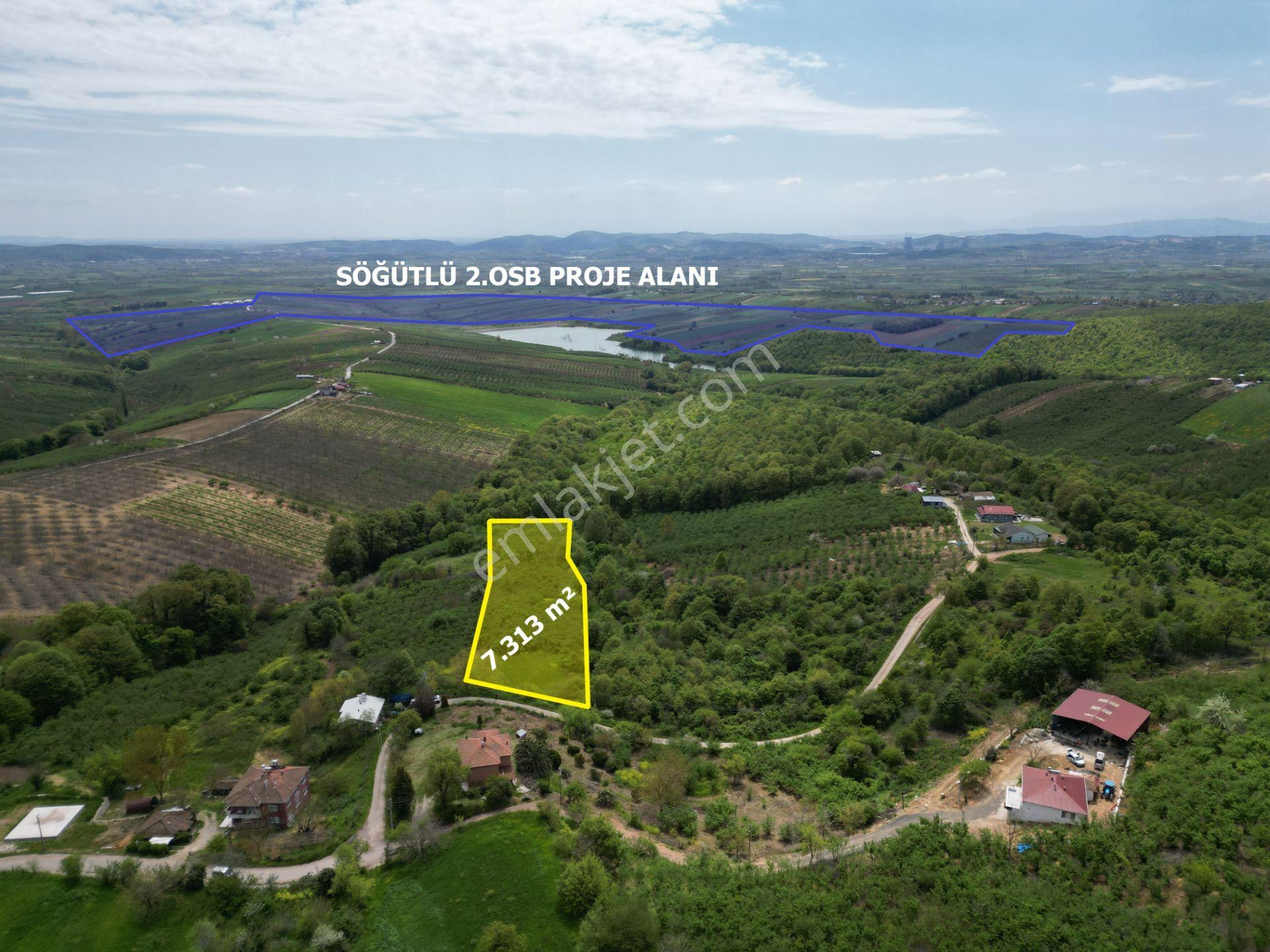 Söğütlü 2.osb Yakını | Yol Cepheli, Altyapılı 7.313 M² Fındıklık - Görsel 17