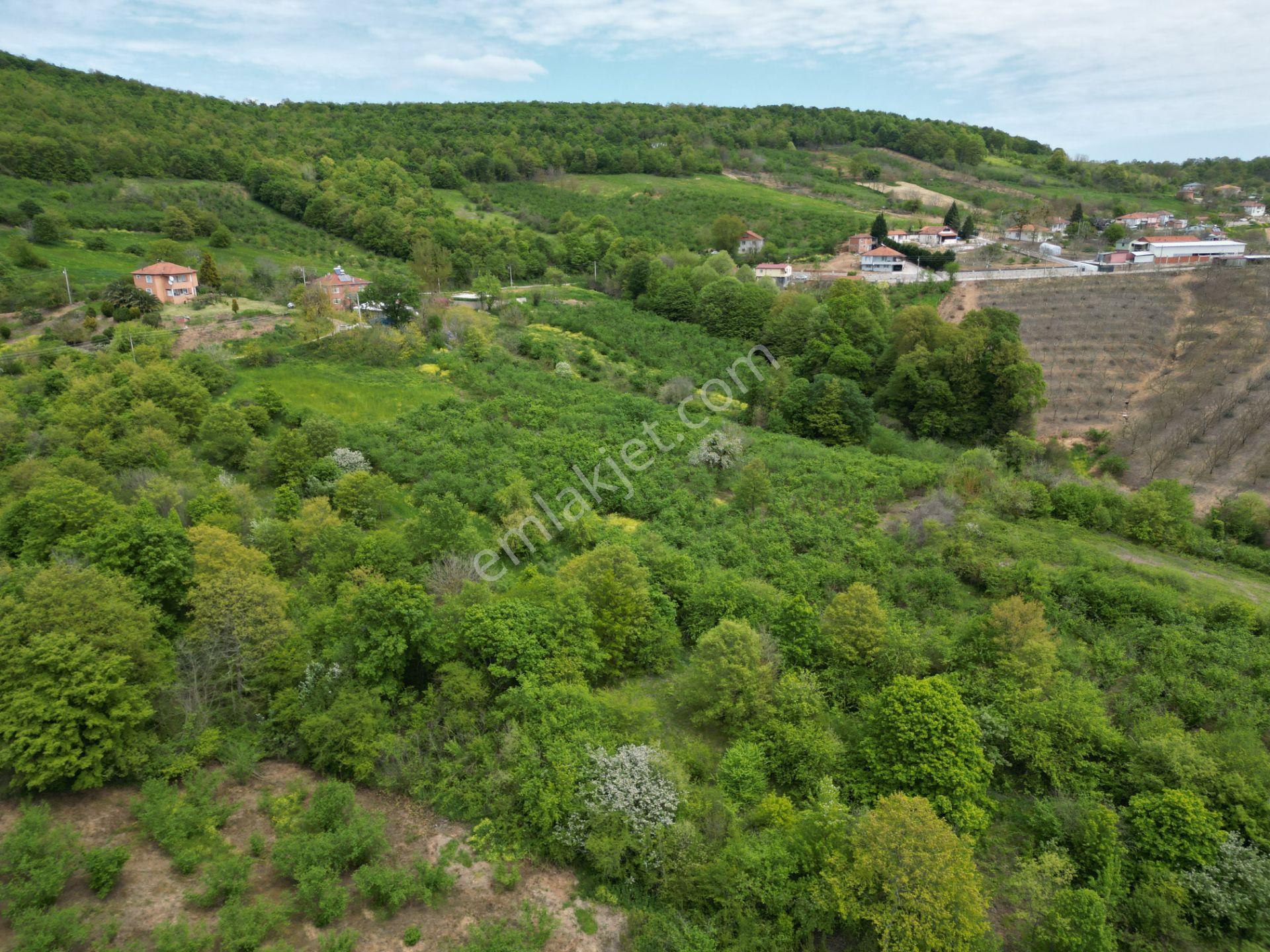 Söğütlü 2.osb Yakını | Yol Cepheli, Altyapılı 7.313 M² Fındıklık - Görsel 4