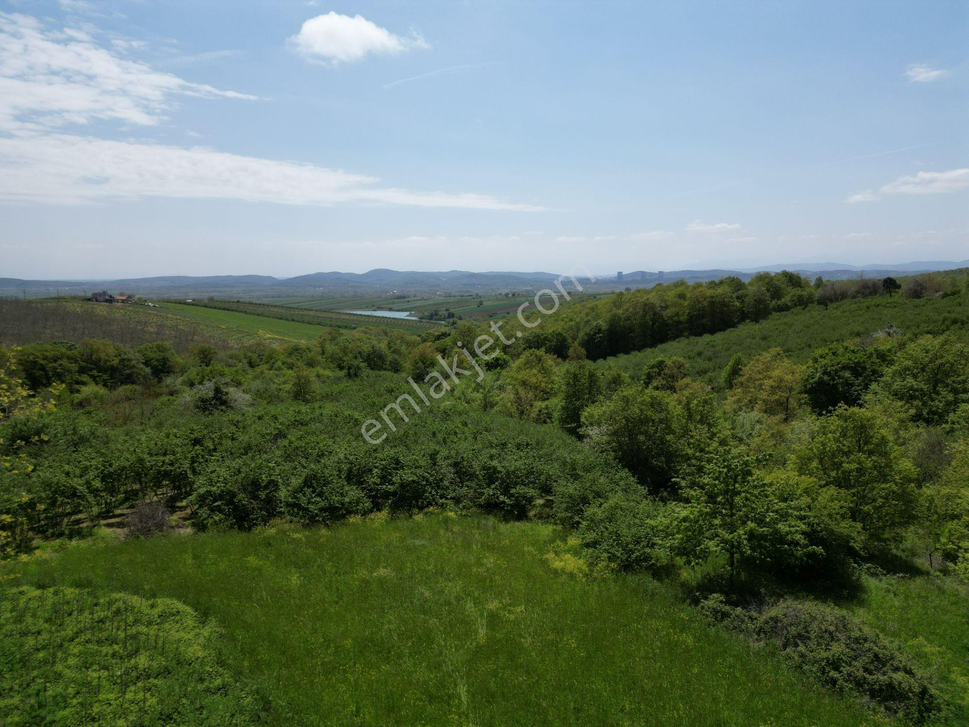 Söğütlü 2.osb Yakını | Yol Cepheli, Altyapılı 7.313 M² Fındıklık - Görsel 19