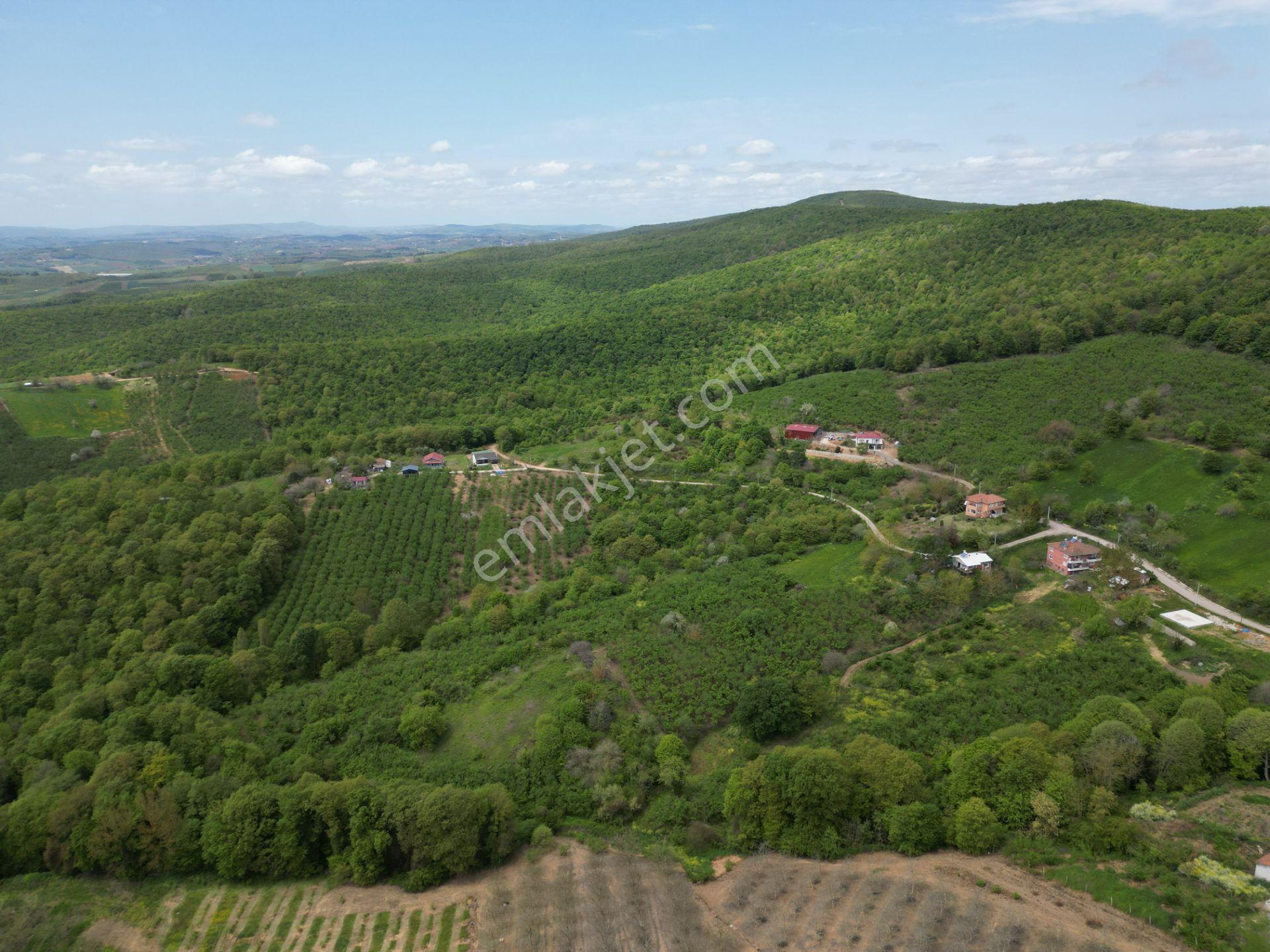 Söğütlü 2.osb Yakını | Yol Cepheli, Altyapılı 7.313 M² Fındıklık - Görsel 15