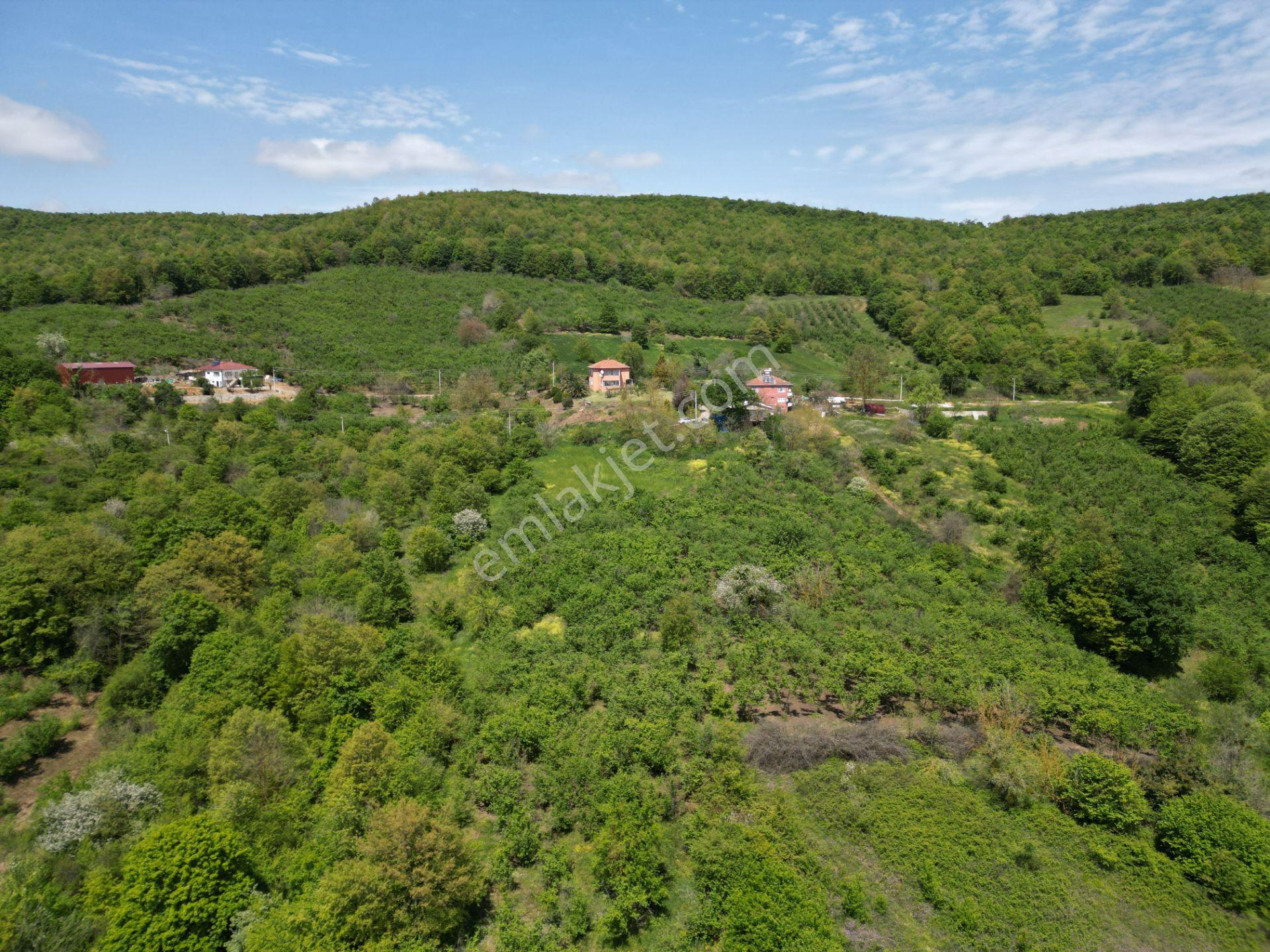 Söğütlü 2.osb Yakını | Yol Cepheli, Altyapılı 7.313 M² Fındıklık - Görsel 18