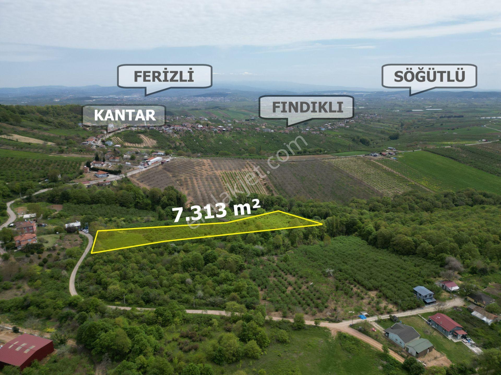 Söğütlü 2.osb Yakını | Yol Cepheli, Altyapılı 7.313 M² Fındıklık - Görsel 10