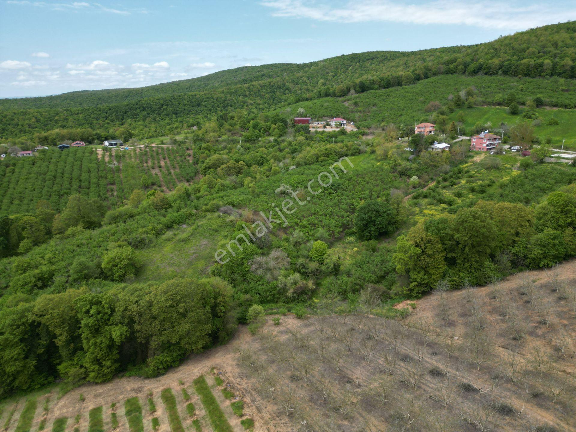 Söğütlü 2.osb Yakını | Yol Cepheli, Altyapılı 7.313 M² Fındıklık - Görsel 6