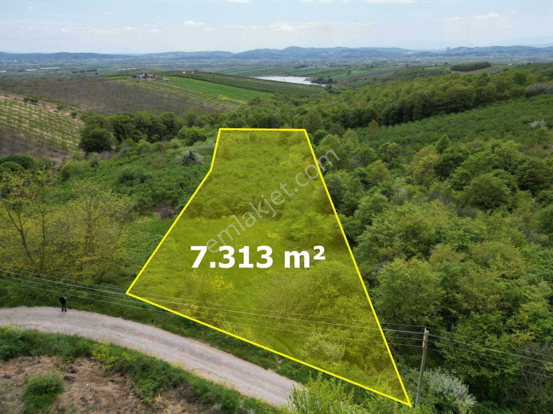 Söğütlü 2.osb Yakını | Yol Cepheli, Altyapılı 7.313 M² Fındıklık - Görsel 3