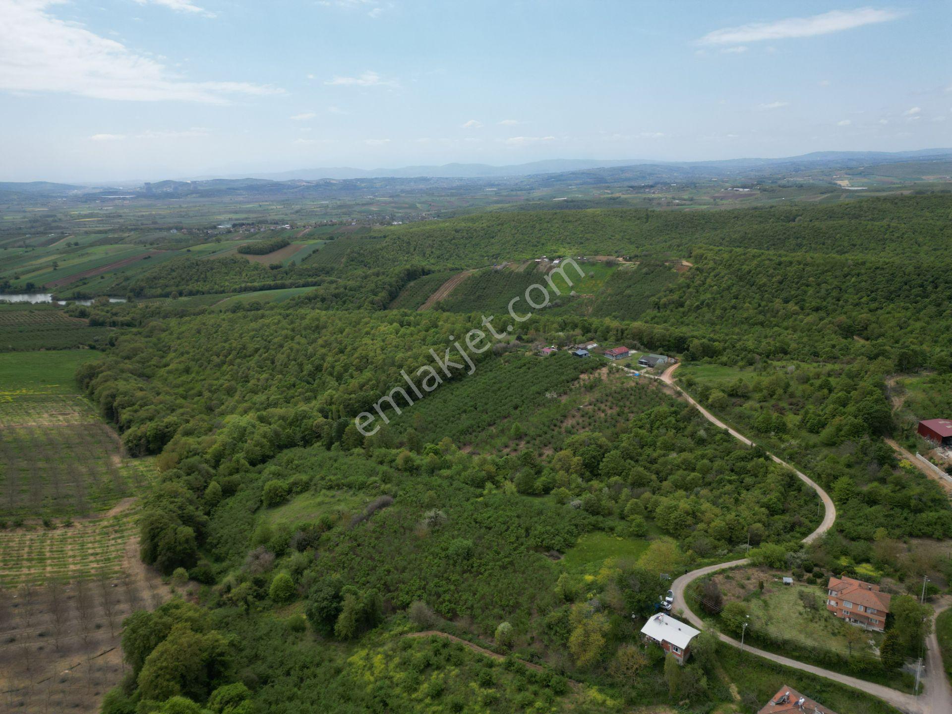 Söğütlü 2.osb Yakını | Yol Cepheli, Altyapılı 7.313 M² Fındıklık - Görsel 7