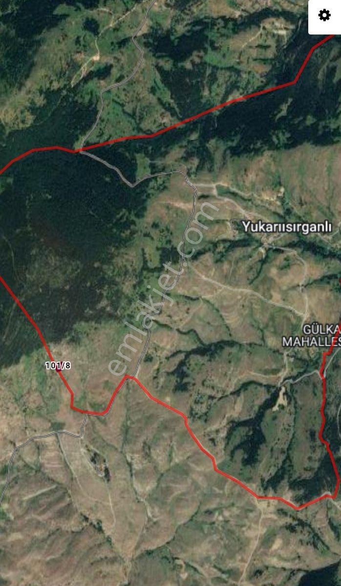 Ahşena'dan Samsun Alaçam'da Yatırıma Uygun 2515 M2 Satılık Arazi - Görsel 2