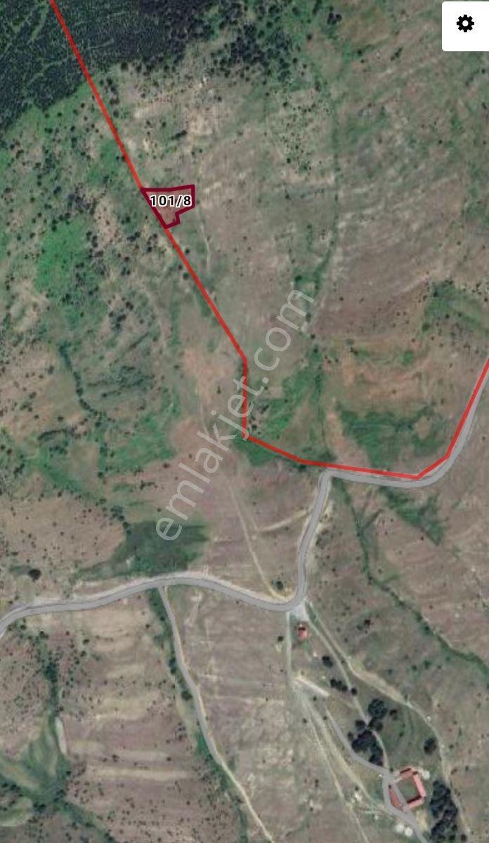 Ahşena'dan Samsun Alaçam'da Yatırıma Uygun 2515 M2 Satılık Arazi
