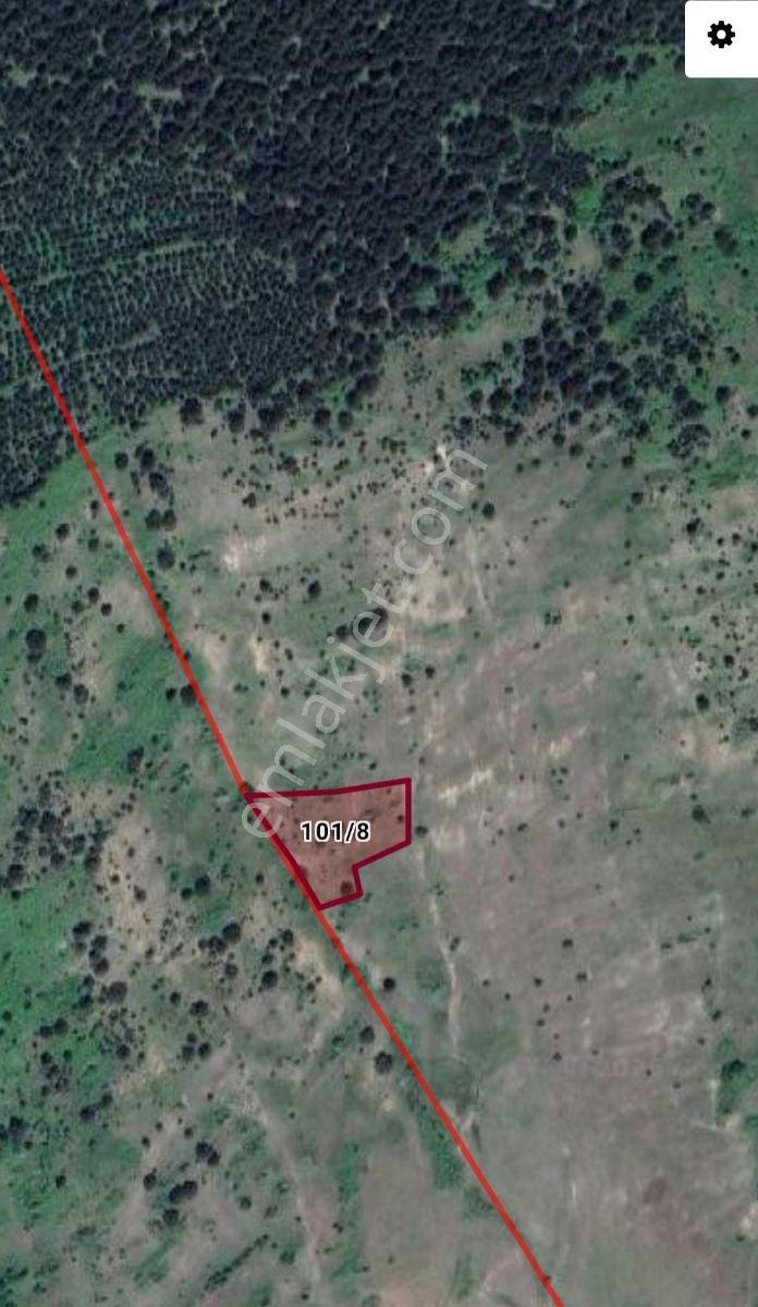Ahşena'dan Samsun Alaçam'da Yatırıma Uygun 2515 M2 Satılık Arazi - Görsel 6