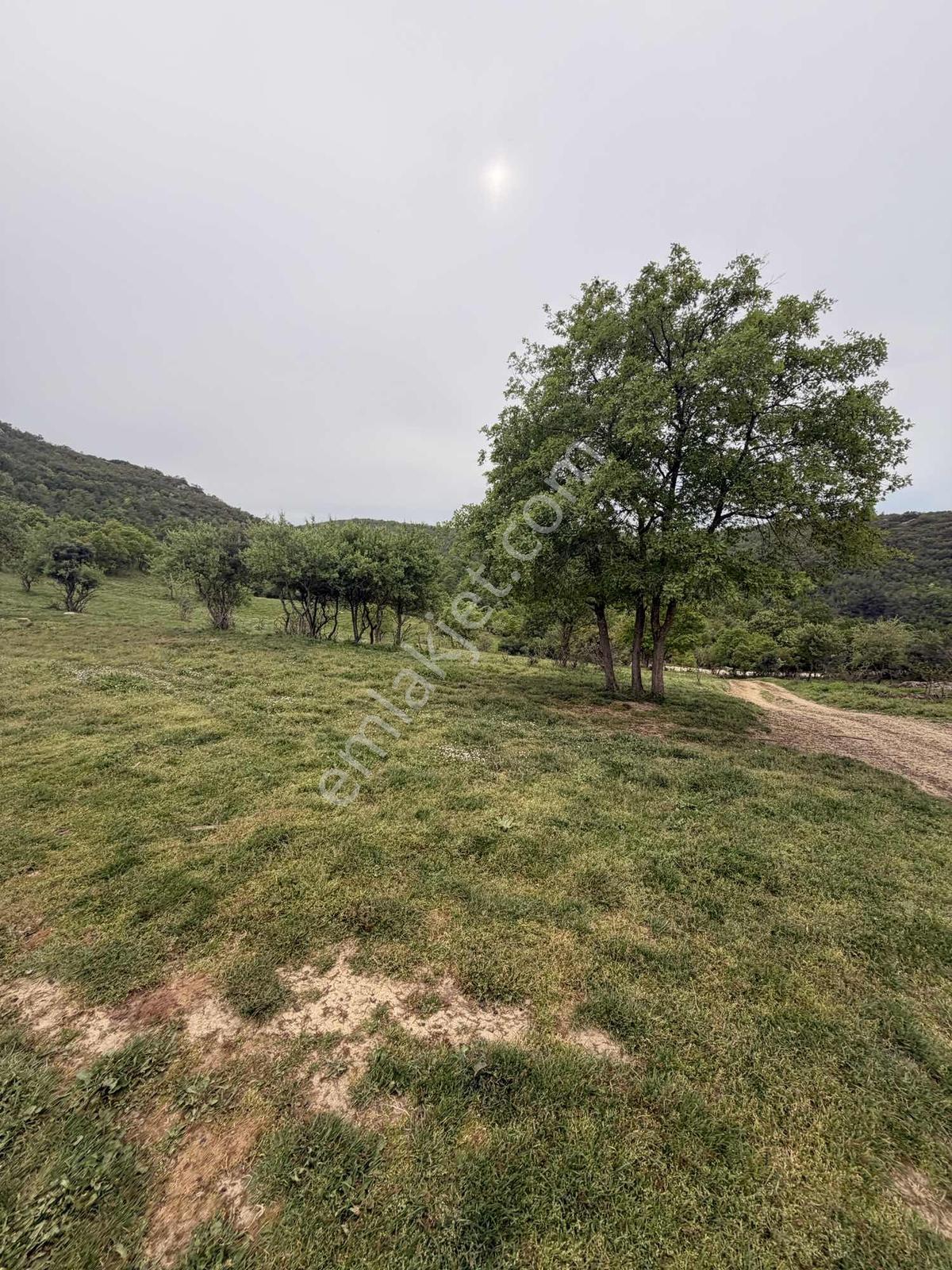 Nilüfer Kayapa Satılık Fırsat Fiyat 1.150m² Yola Cephe Arazi - Görsel 8
