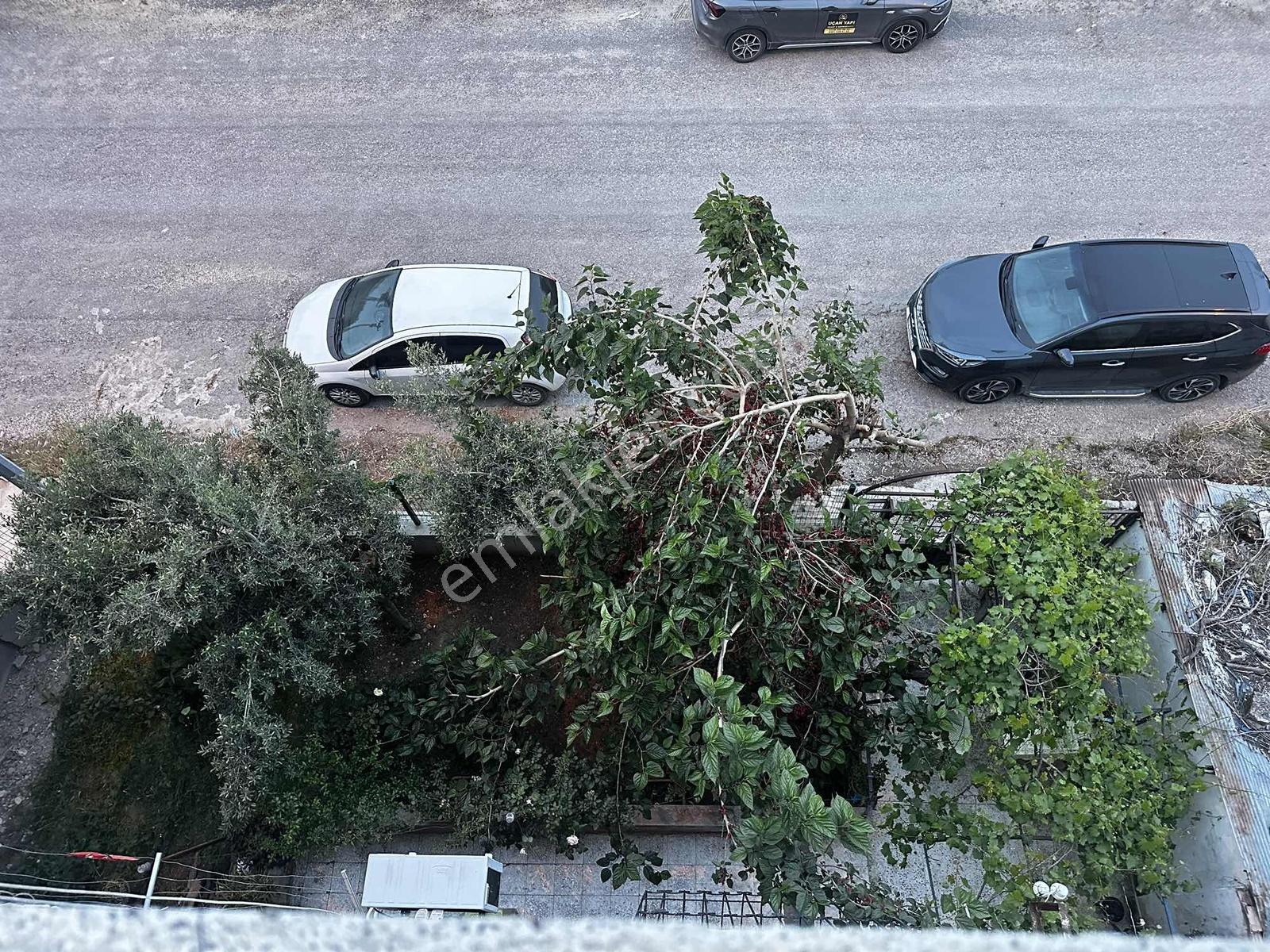 Uçanyapıdan Yalınayakta 3 Katlı Müstakıl Bahçeli - Görsel 21