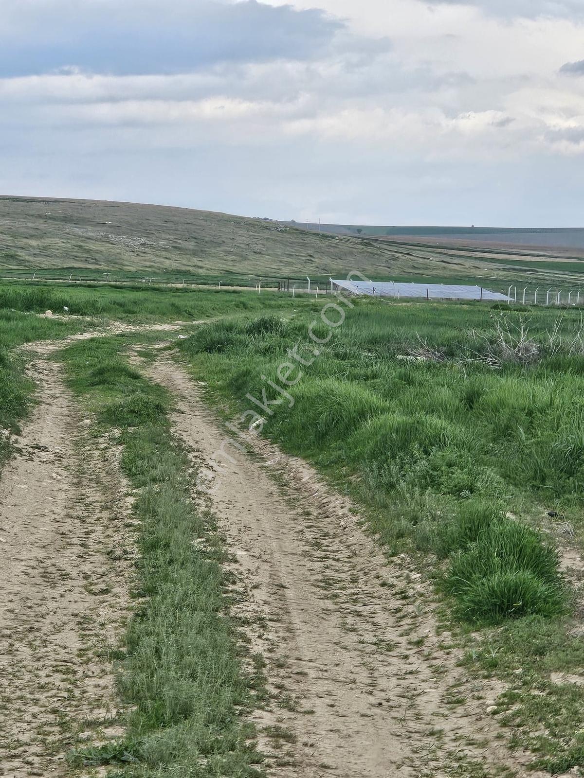 Afyon Basmakcıda Satılık Tek Tapu 11.150 M2 Tarla - Görsel 2