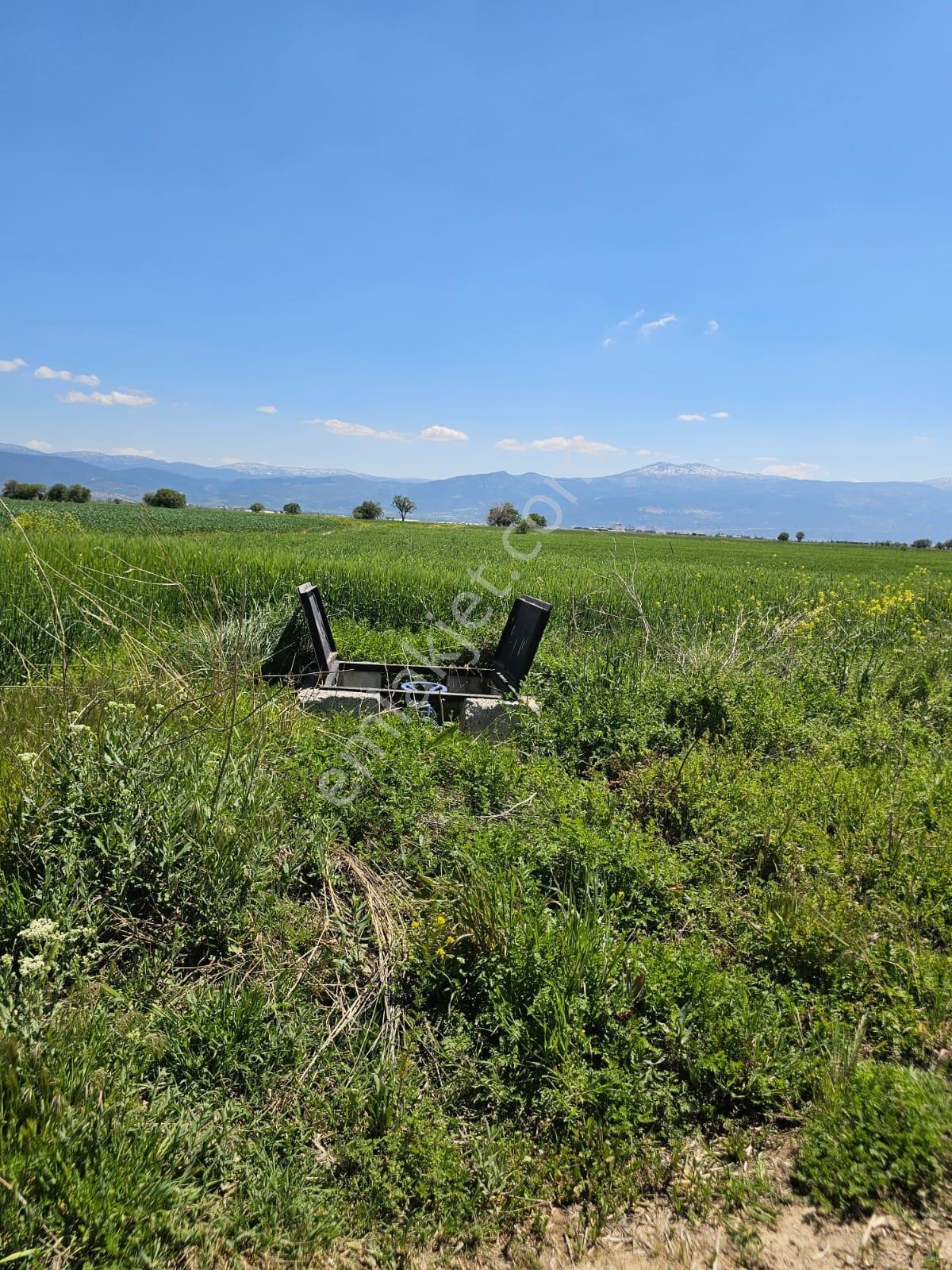 Afyon Basmakcıda Satılık Tek Tapu 11.150 M2 Tarla - Görsel 3