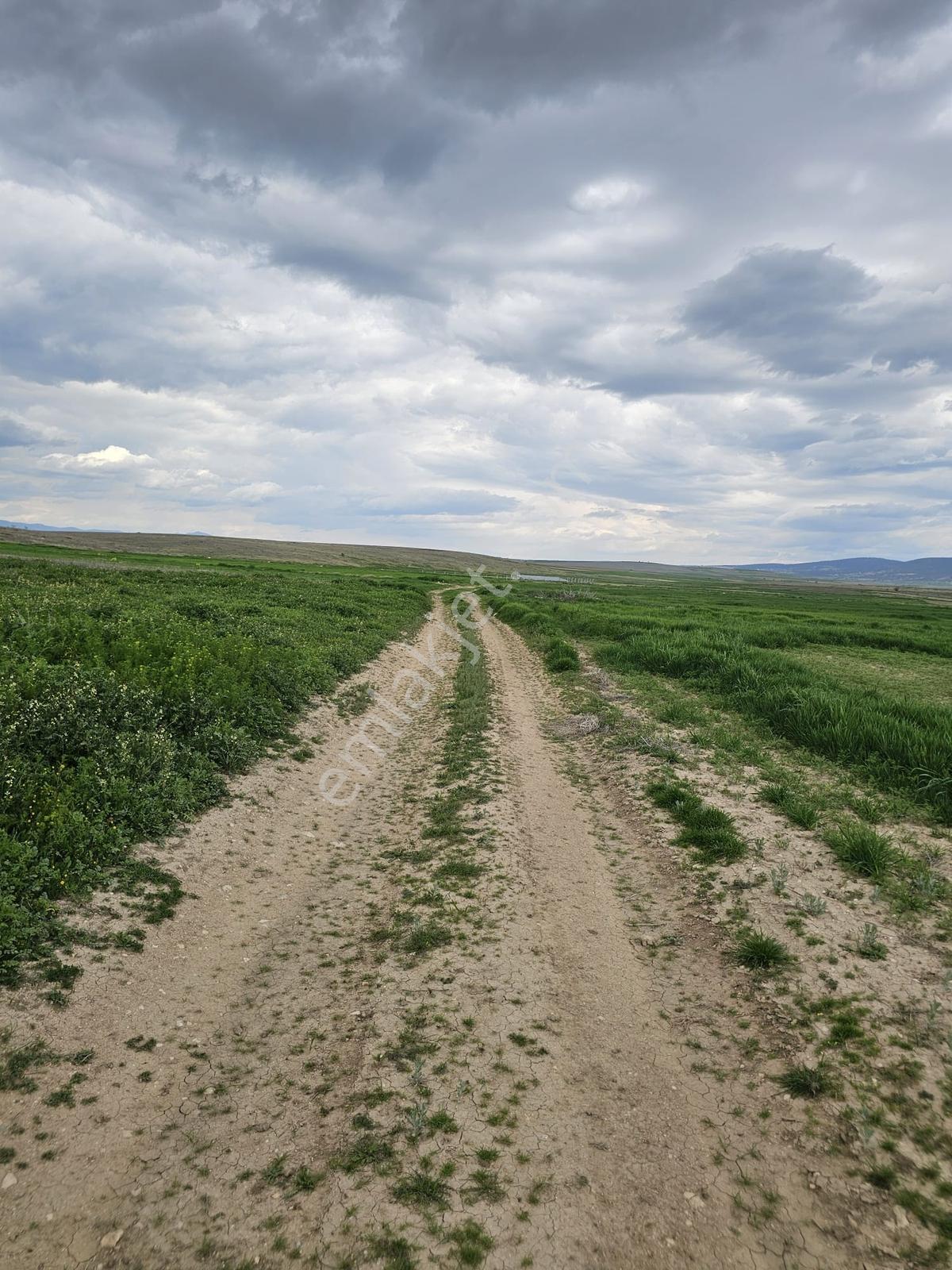 Afyon Basmakcıda Satılık Tek Tapu 11.150 M2 Tarla - Görsel 12