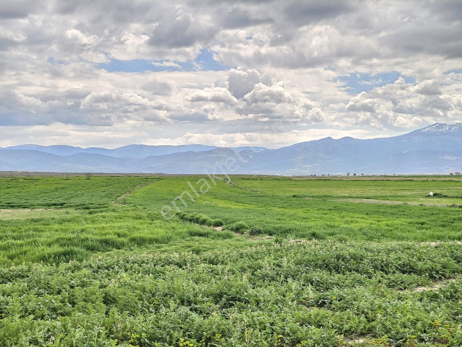 Afyon Basmakcıda Satılık Tek Tapu 11.150 M2 Tarla - Görsel 5