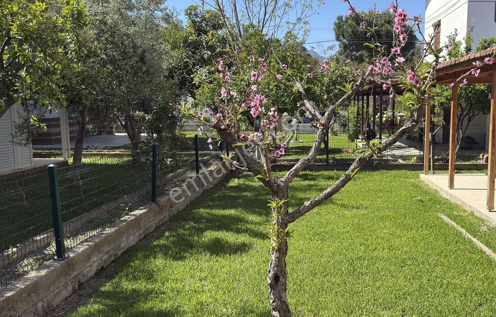 Davutlar Köyüm Sitesi, Denize Çok Yakın 5+1 Tek Müstakil Villa - Görsel 31