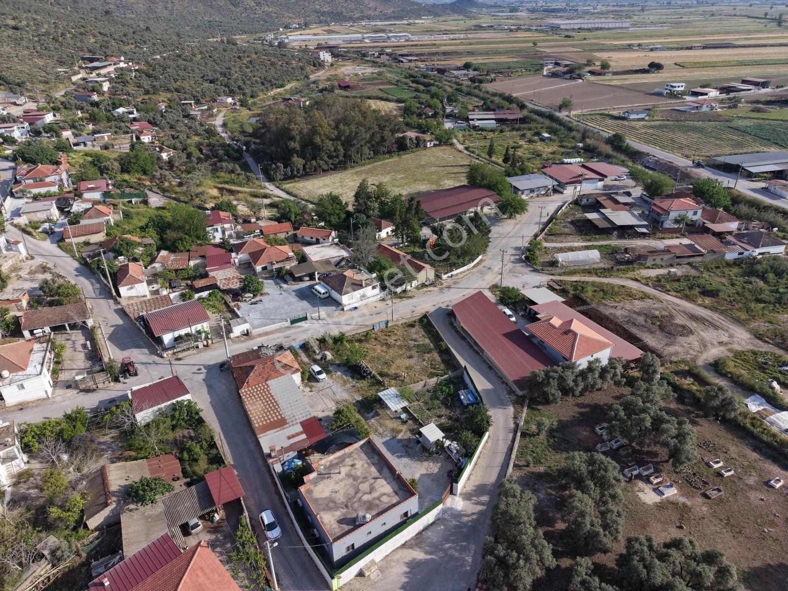 Doğadan Milas Savranda Köy İçinde Ticari+konut İmarlı Arsa - Görsel 5