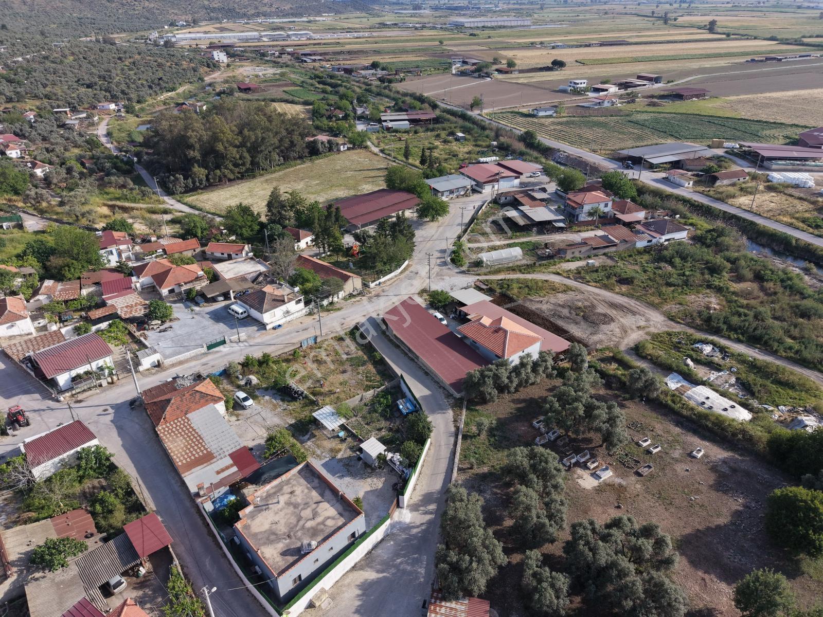 Doğadan Milas Savranda Köy İçinde Ticari+konut İmarlı Arsa - Görsel 15