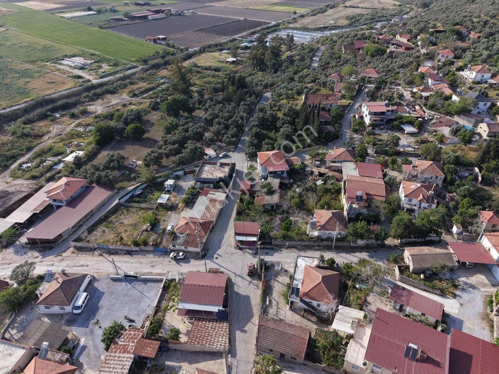 Doğadan Milas Savranda Köy İçinde Ticari+konut İmarlı Arsa - Görsel 8