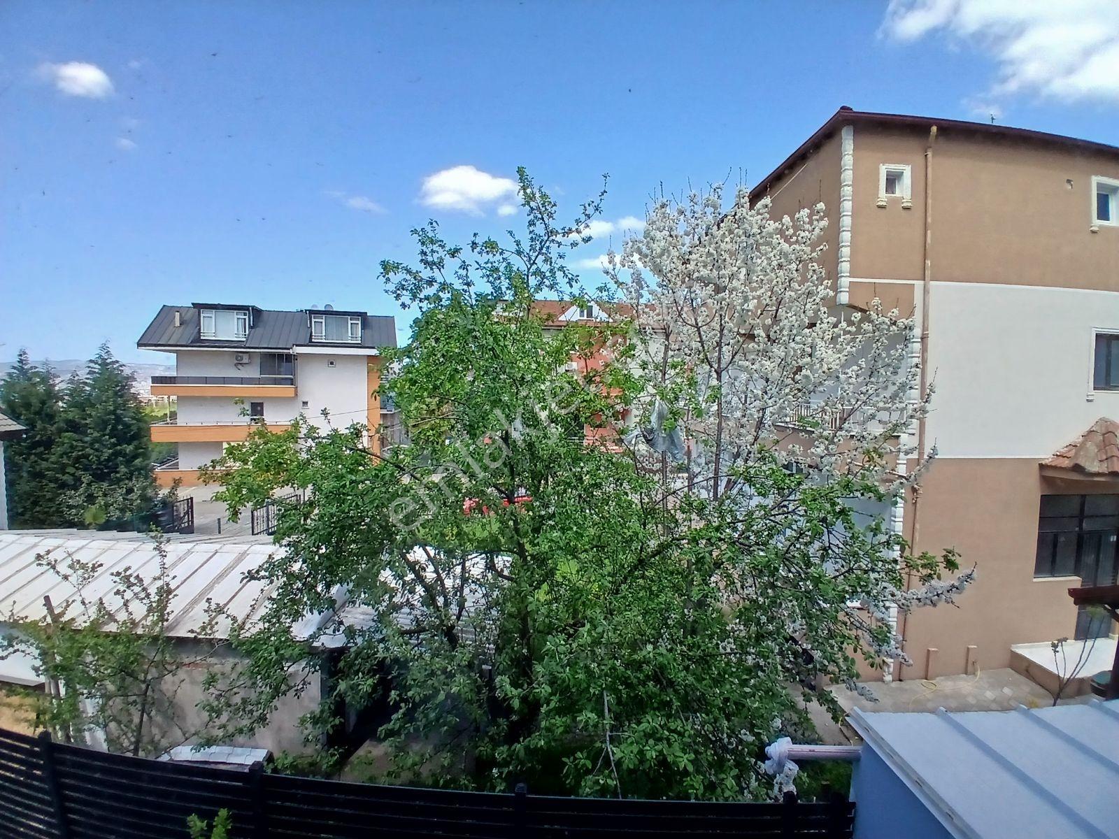 Çelik-ay Gayrimenkul'den Başiskele Kiralık Daire - Görsel 14