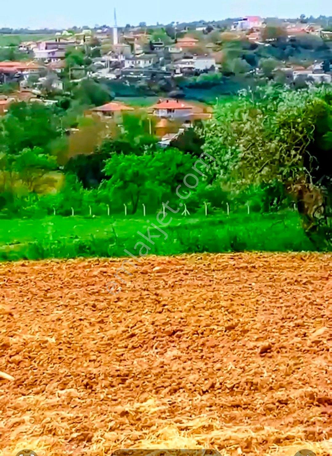 Tekirdağmalkaraçınaraltımustakiltapu - Görsel 3