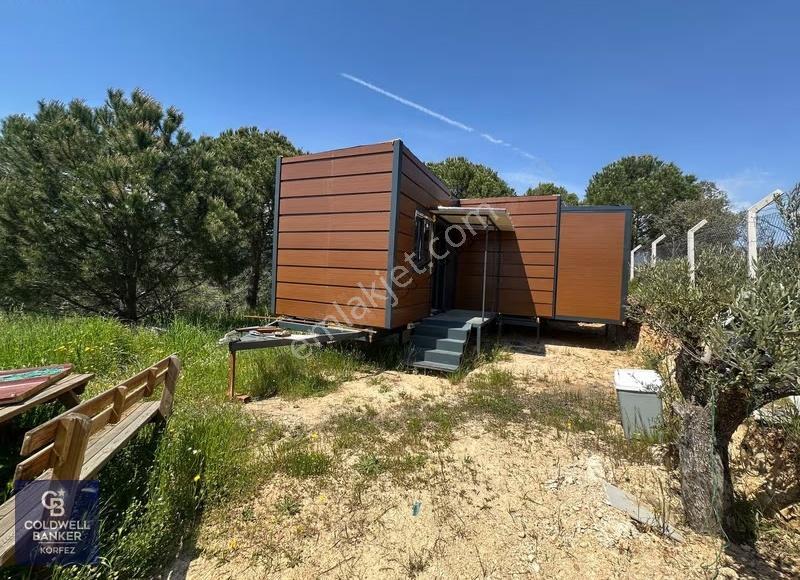 Tiny House Kullanımlı Satılık Zeytinlik - Görsel 16