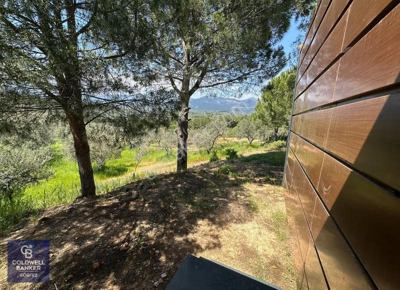Tiny House Kullanımlı Satılık Zeytinlik - Görsel 24