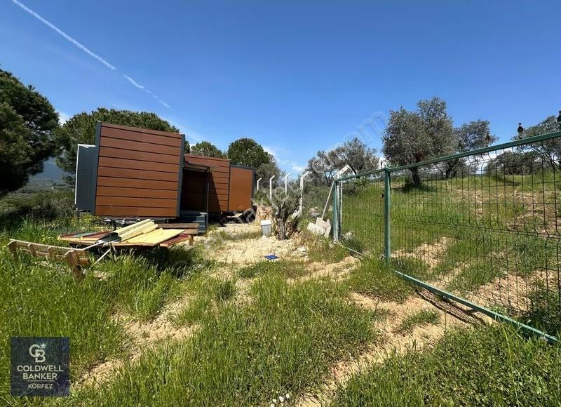 Tiny House Kullanımlı Satılık Zeytinlik - Görsel 10