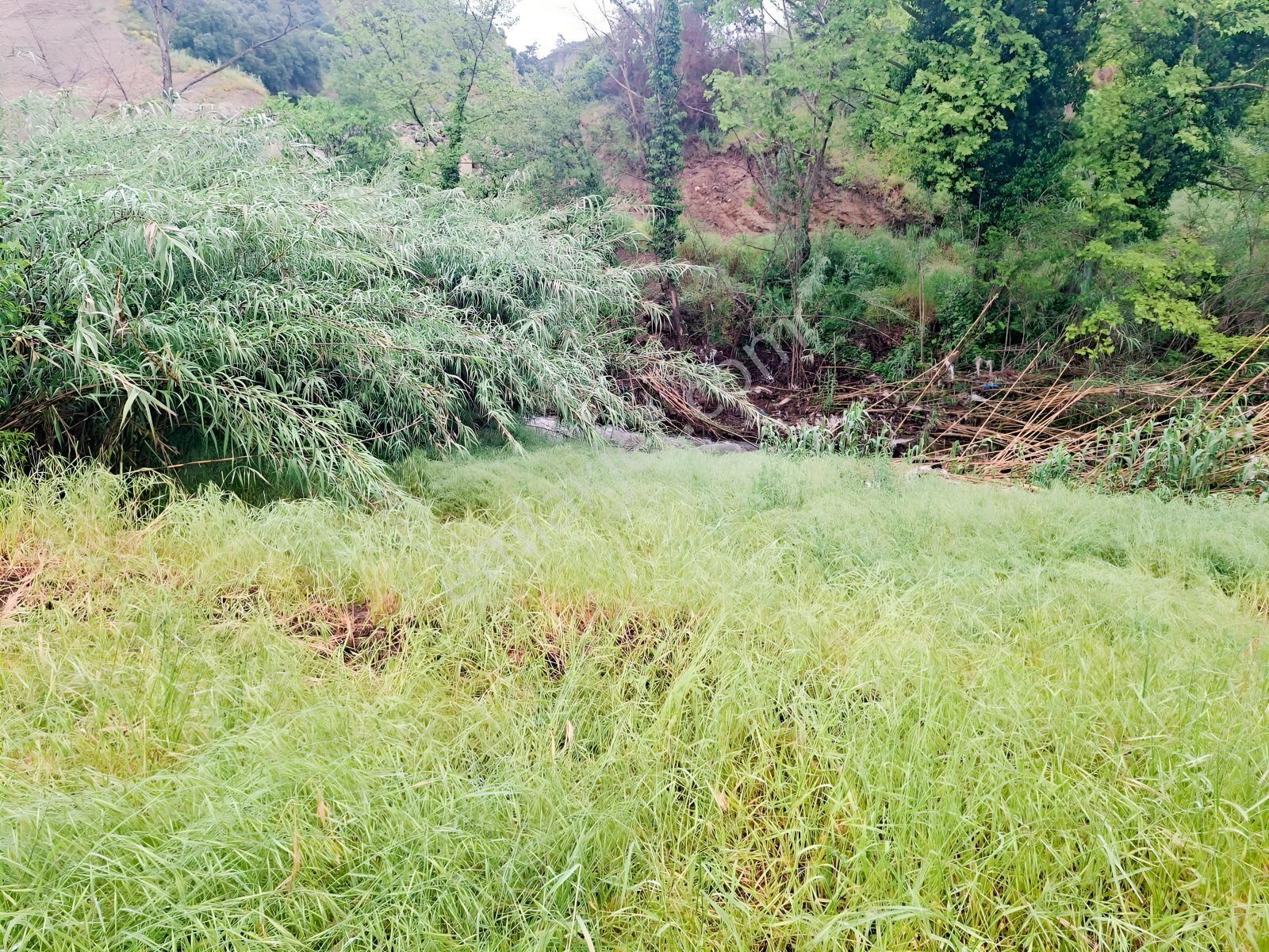 12 Ay Akan Deresi Hayranlık, Düm Düz Tarla, Köy İçi, Yolu Mevcut - Görsel 30