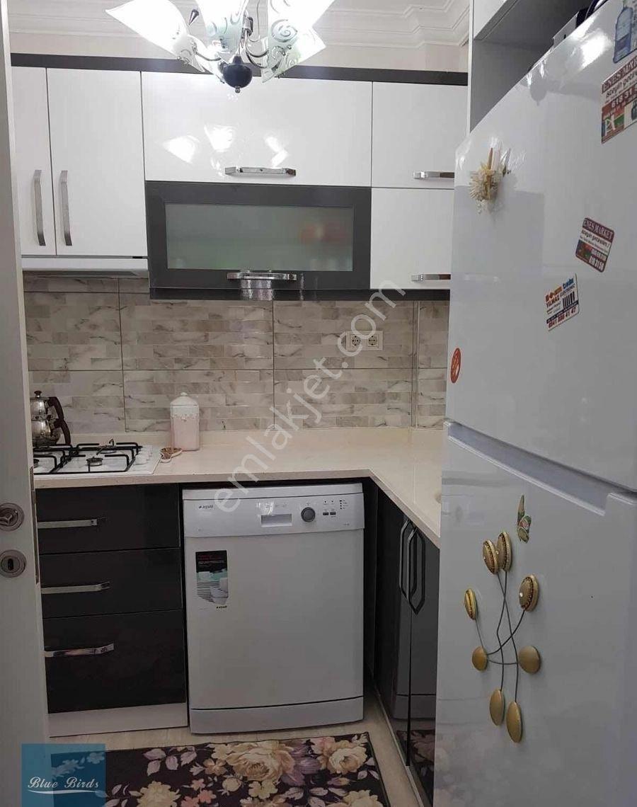 Marina Mevkii Havuzlu Sitede Kiralık 1+1 Daire - Görsel 6