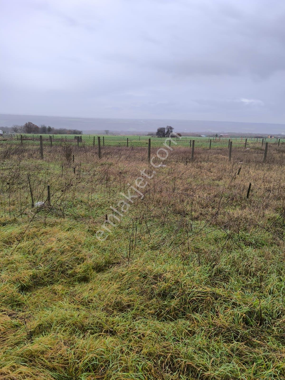 Silivri Çanta'da Gölet Manzaralı, Park Cepheli 300m² Arsa - Görsel 9
