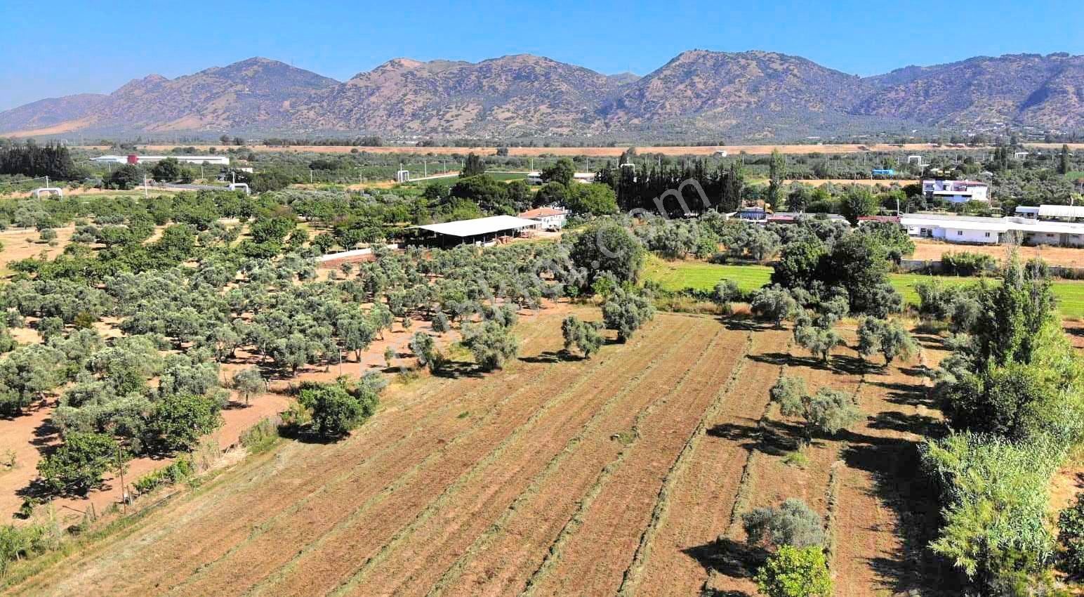 Aydın İzmir Otoyolu Üstünde Yatırıma Oturuma Uygun Arazi - Görsel 14