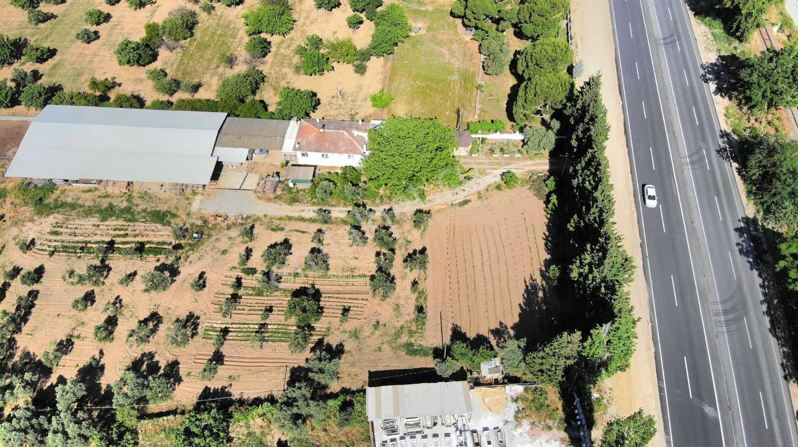 Aydın İzmir Otoyolu Üstünde Yatırıma Oturuma Uygun Arazi - Görsel 4