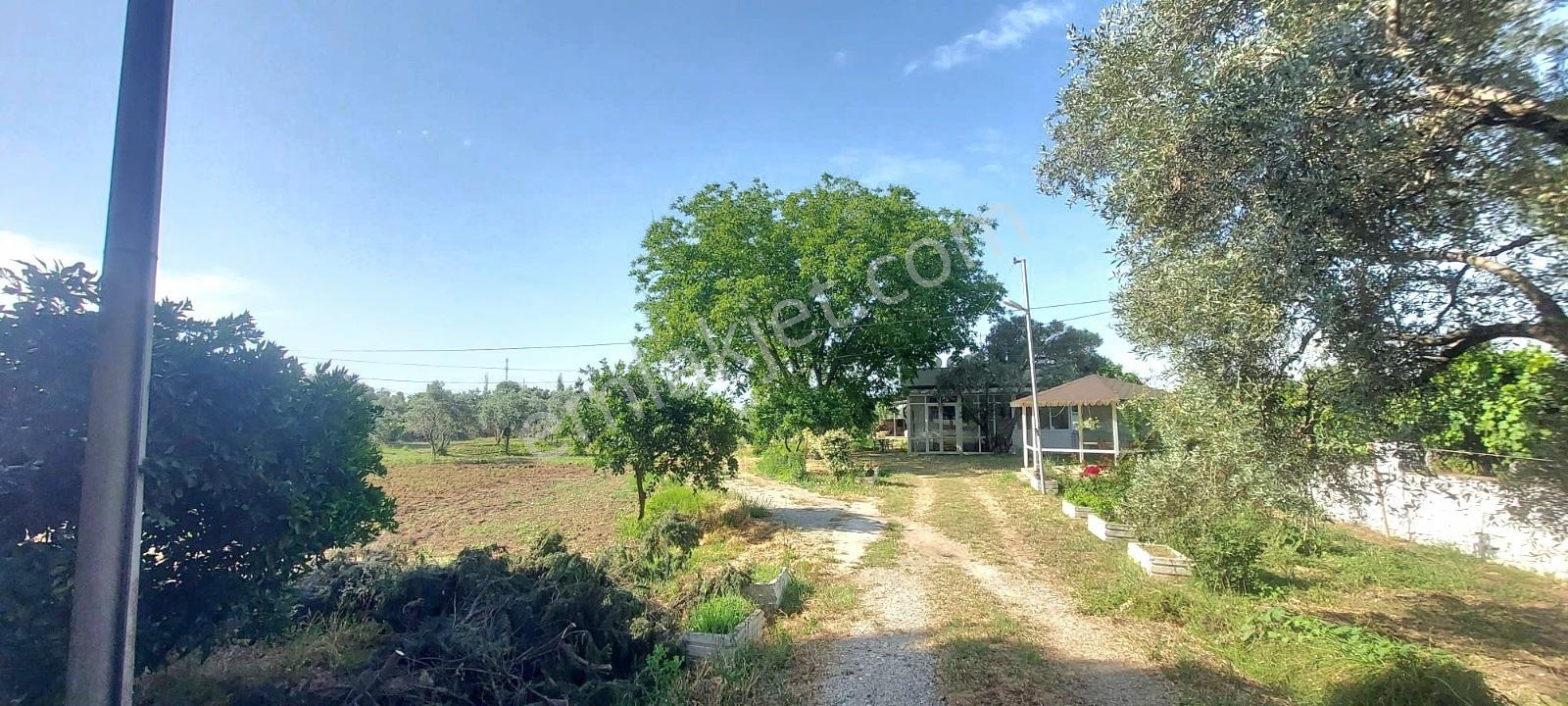 Aydın İzmir Otoyolu Üstünde Yatırıma Oturuma Uygun Arazi - Görsel 6