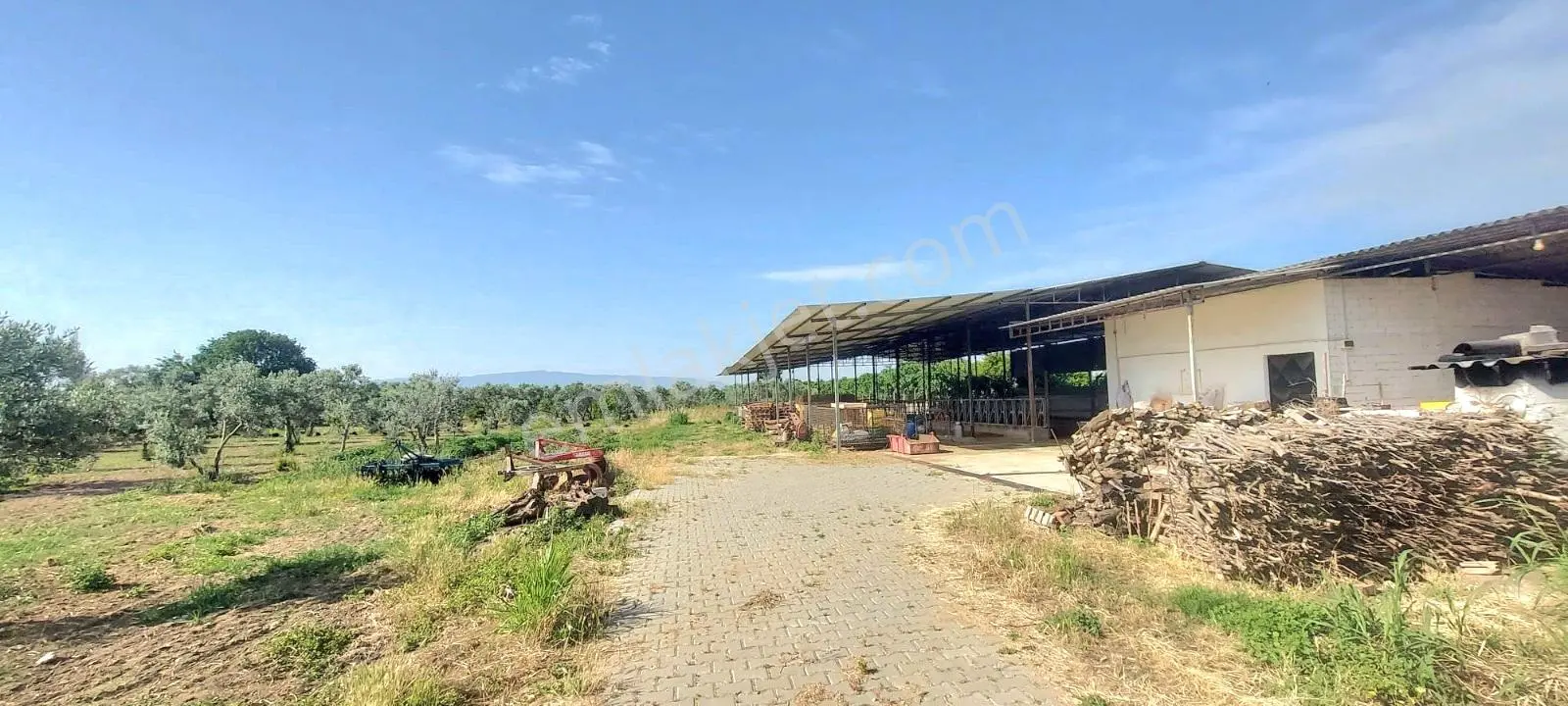 Aydın İzmir Otoyolu Üstünde Yatırıma Oturuma Uygun Arazi - Görsel 5
