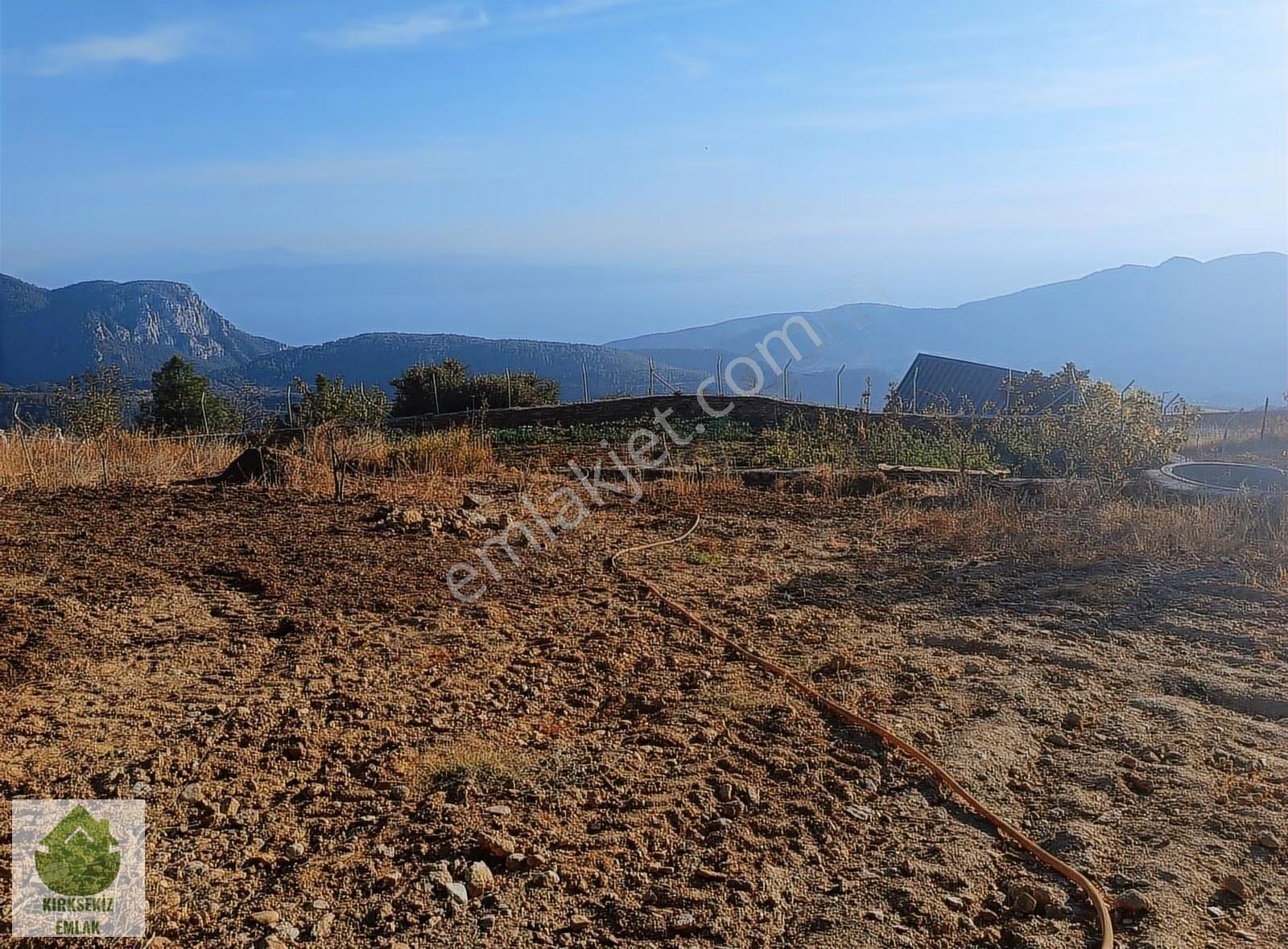Muğla Menteşe Zeytinköyde 2805m² Satılık Deniz Manzaralı Tarla - Görsel 20