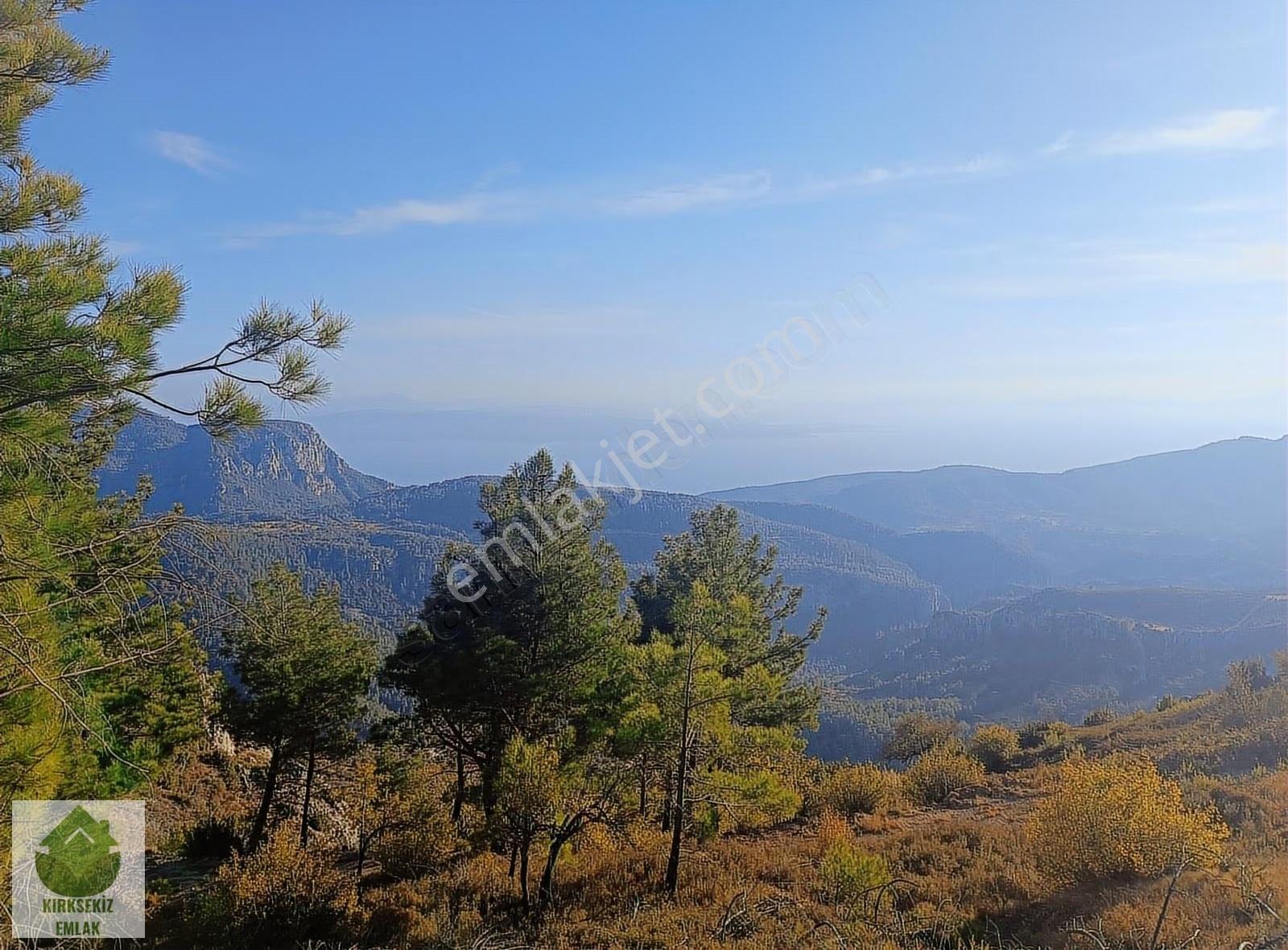 Muğla Menteşe Zeytinköyde 2805m² Satılık Deniz Manzaralı Tarla - Görsel 27