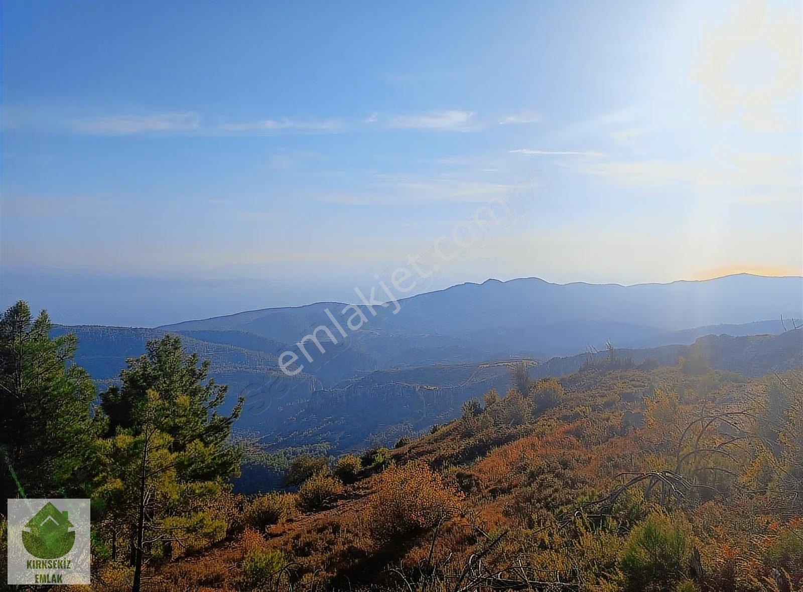 Muğla Menteşe Zeytinköyde 2805m² Satılık Deniz Manzaralı Tarla - Görsel 15