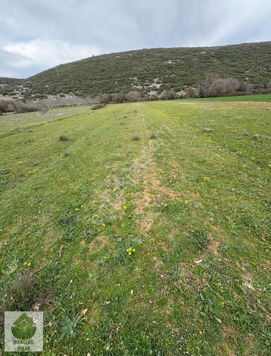 Muğla, Menteşe, Yerkesik Yaylasında Yolu Olan Tarla... - Görsel 4