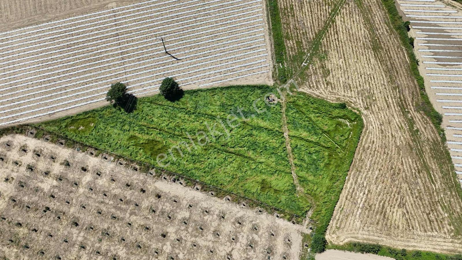 İnfo Gayrımenkul'den Seydilerde 5700m2 Satılık Tarla