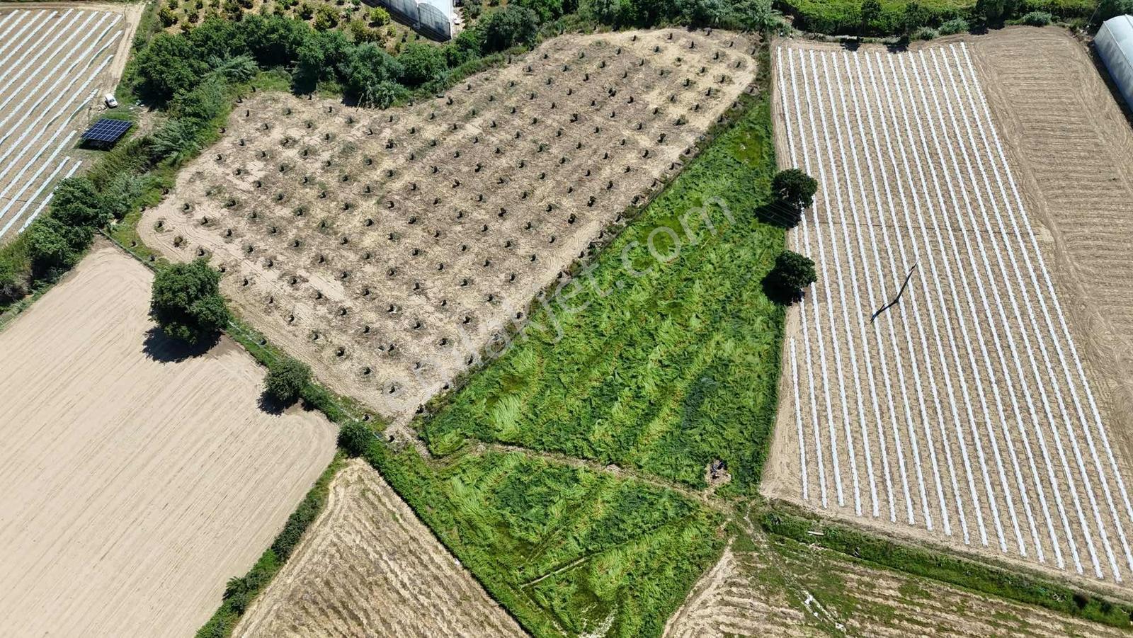 İnfo Gayrımenkul'den Seydilerde 5700m2 Satılık Tarla - Görsel 12
