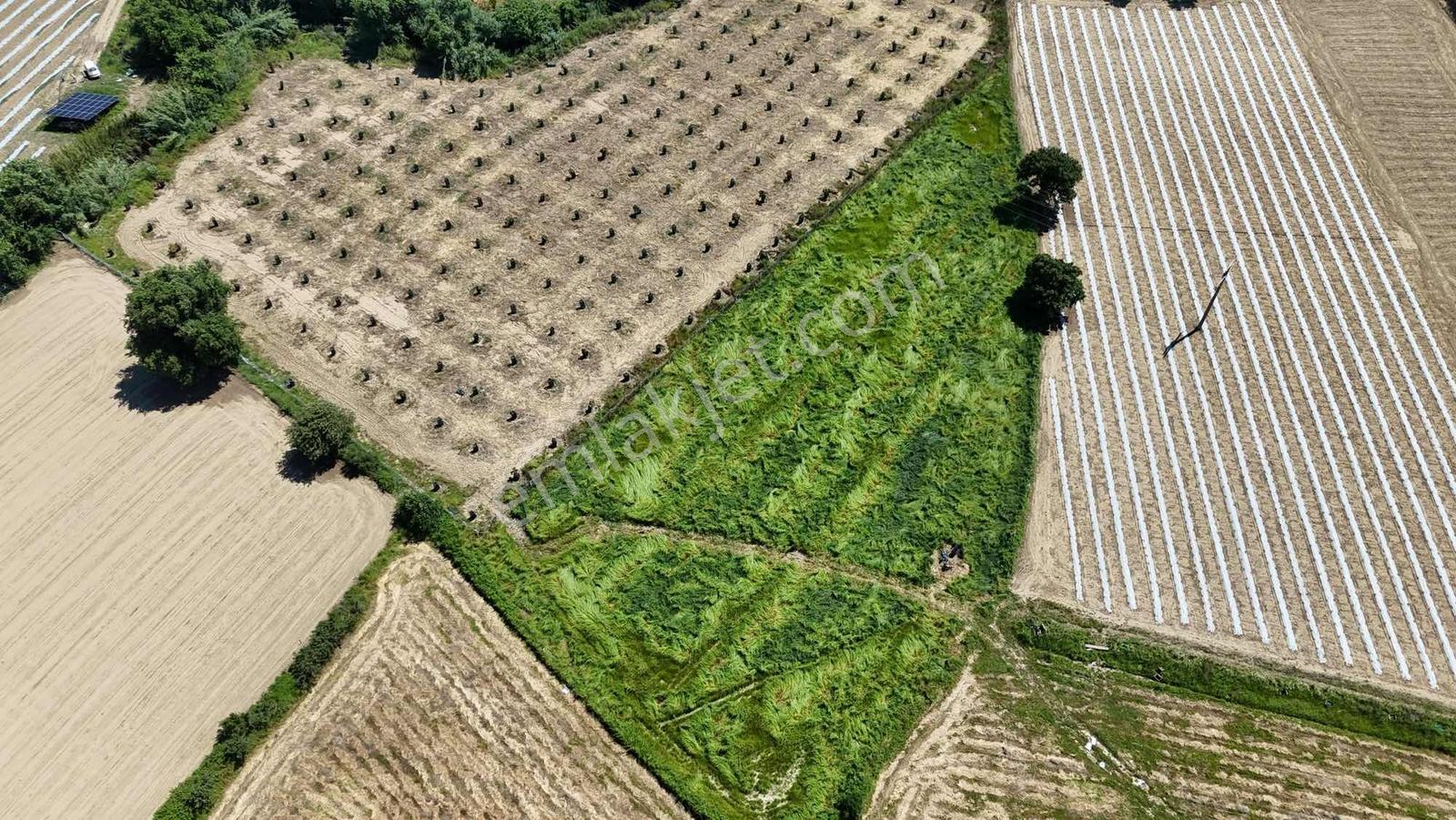 İnfo Gayrımenkul'den Seydilerde 5700m2 Satılık Tarla - Görsel 5