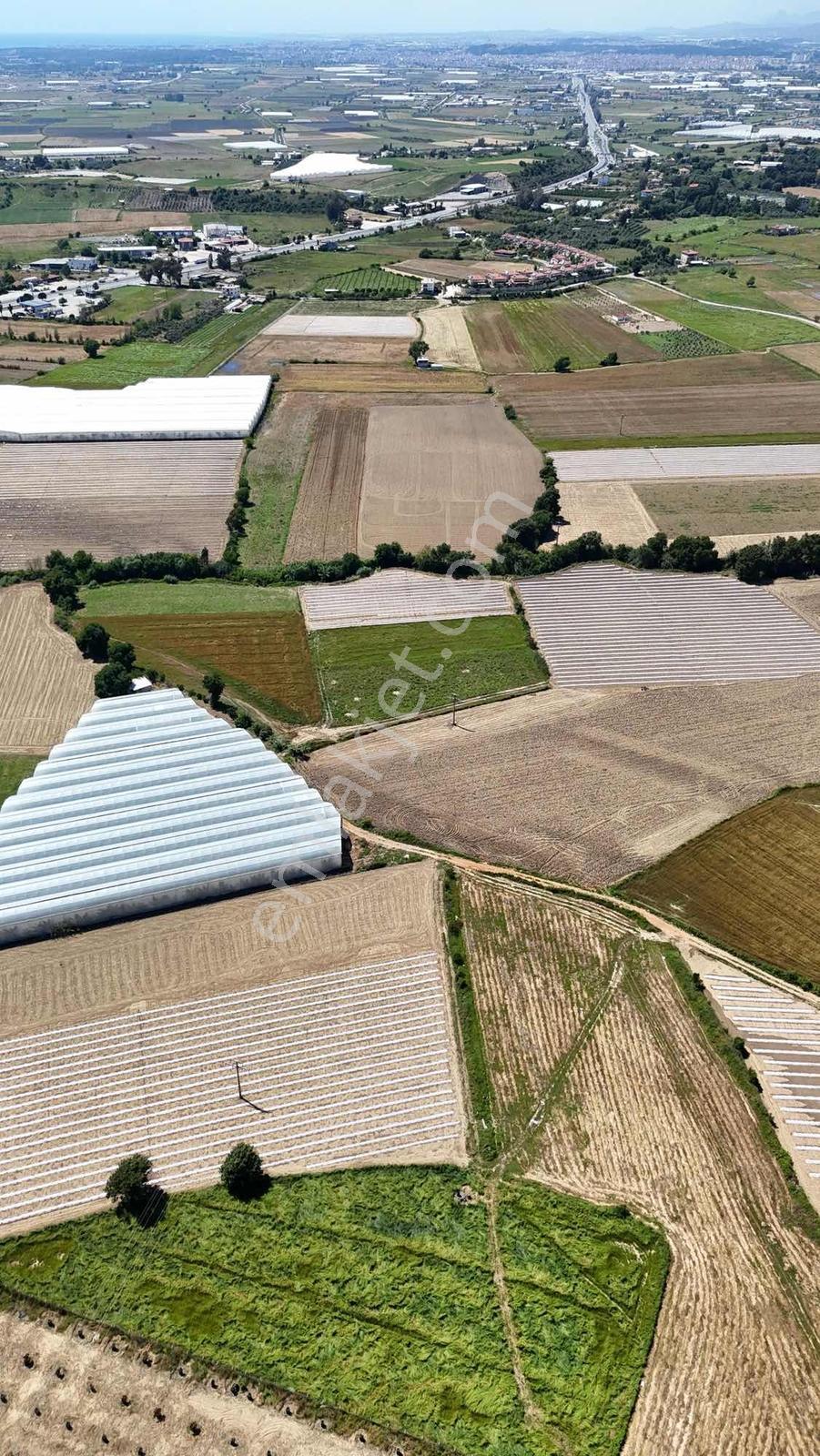 İnfo Gayrımenkul'den Seydilerde 5700m2 Satılık Tarla - Görsel 4