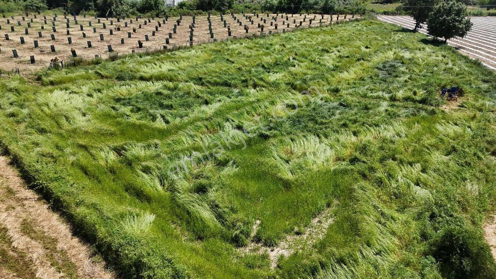 İnfo Gayrımenkul'den Seydilerde 5700m2 Satılık Tarla - Görsel 7